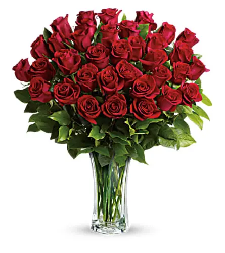 DF 42 - 36 Red Roses in a vase 